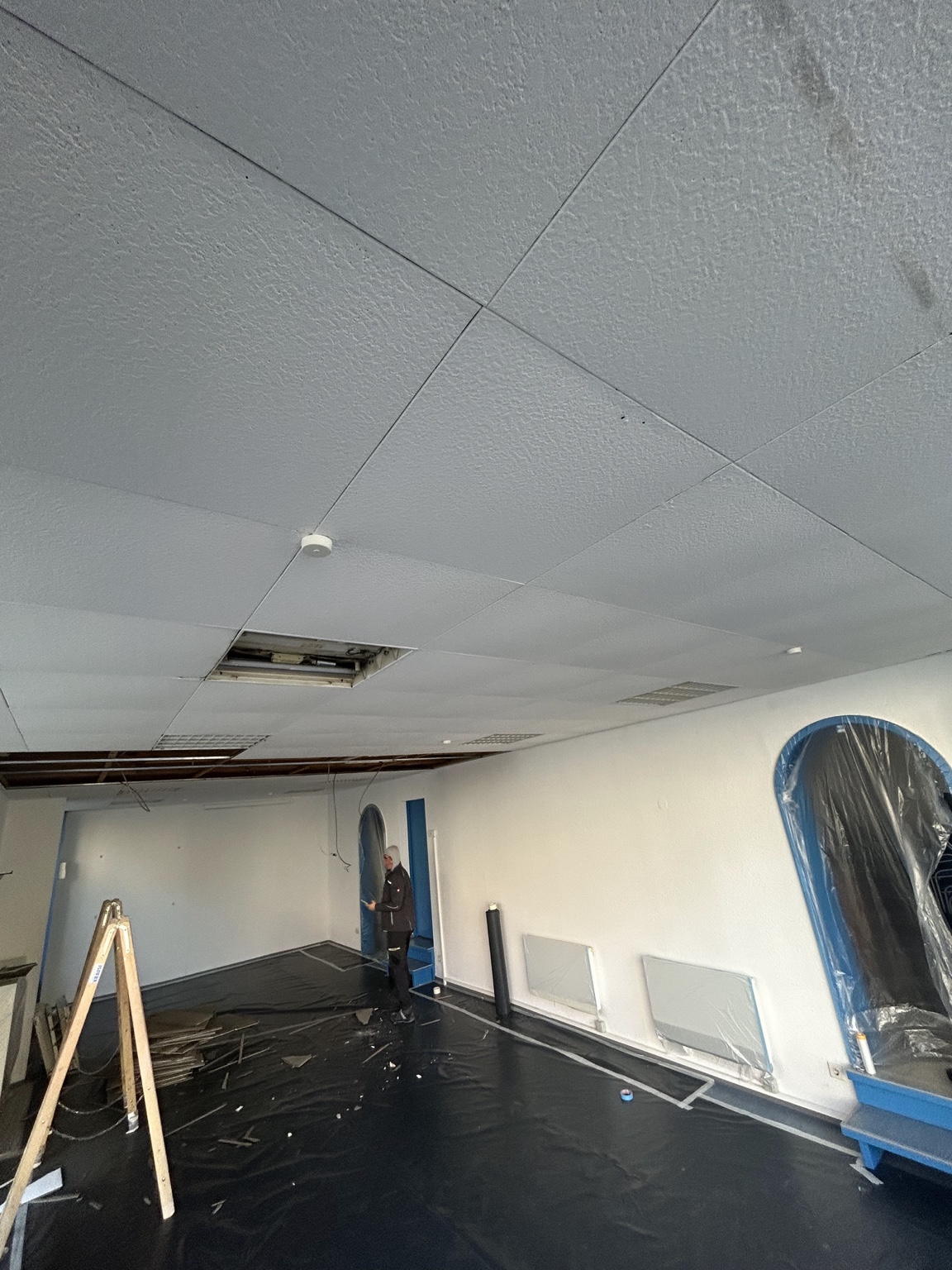 Decken & Deckensysteme