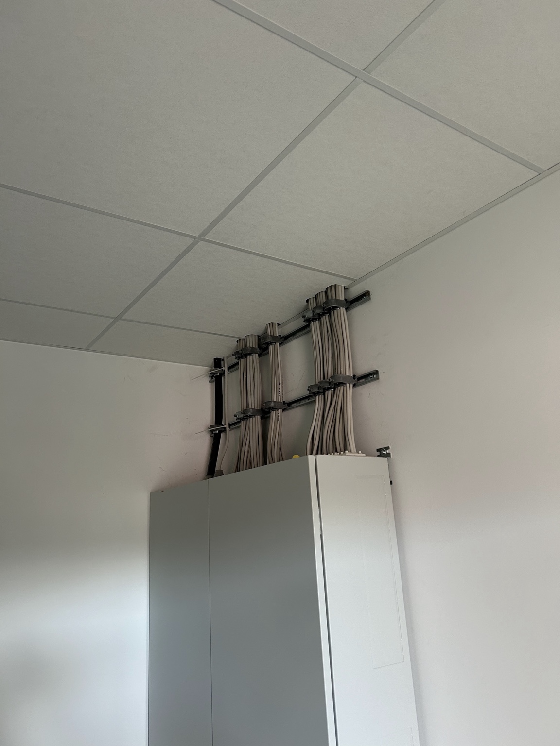 Decken & Deckensysteme
