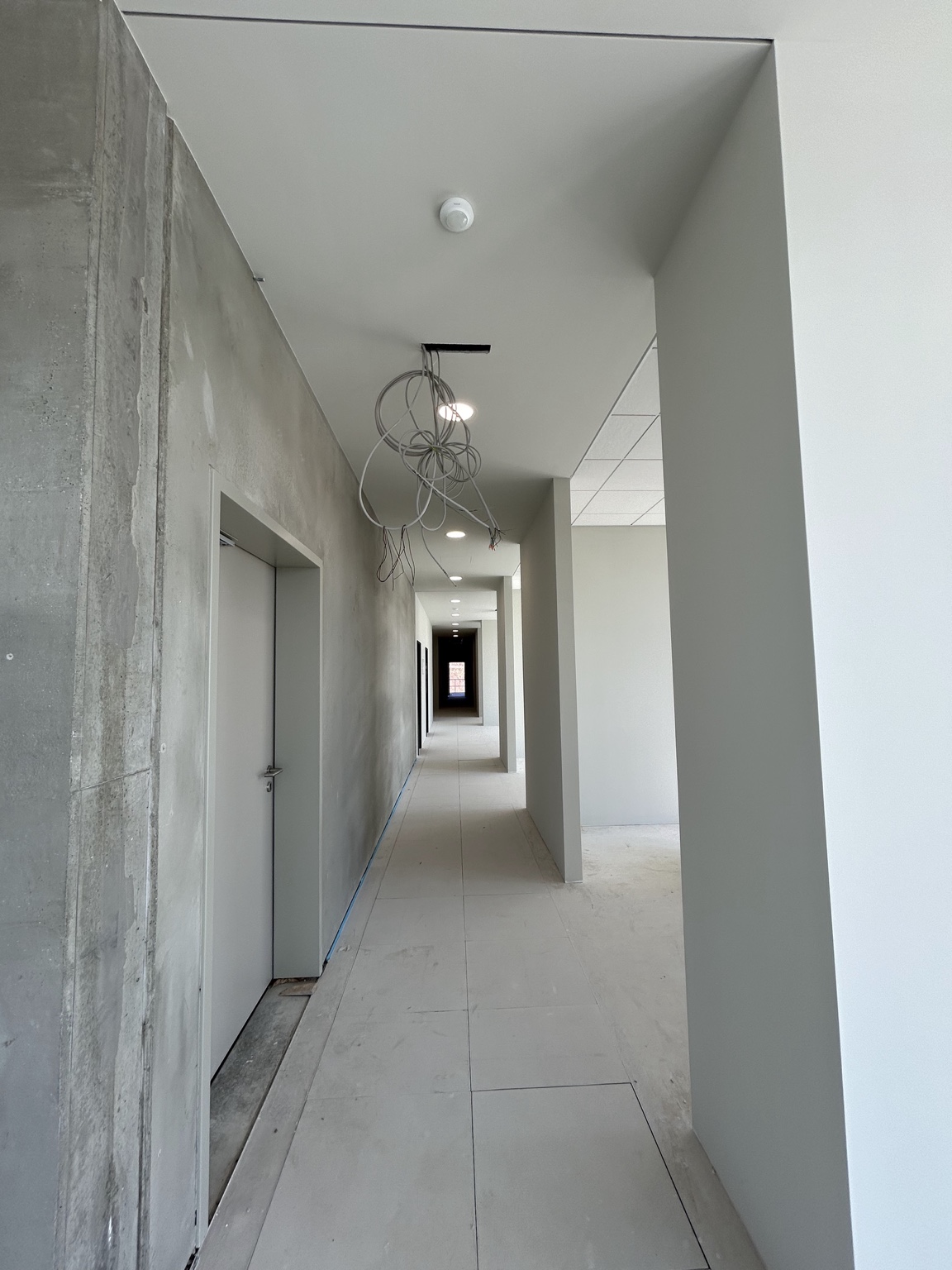 Decken & Deckensysteme